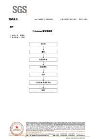 塑料胶水SGS