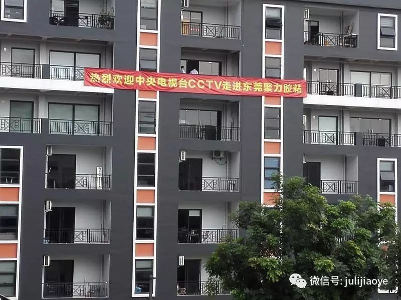 CCTV《牛商论道》栏目摄制组走进聚力胶粘 CCTV《牛商论道》栏目摄制组走进聚力胶粘