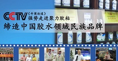 2018年聚力胶业加强人才队伍建设,加强自身竞争能力