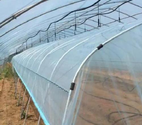 温室大棚覆膜专用胶水 快速定位防水蔬菜大棚膜补漏粘接胶水--聚力胶粘